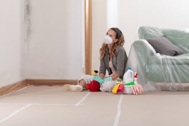 Reliable Mold Testing contractor in New Market, TN by WQB Mold Removal